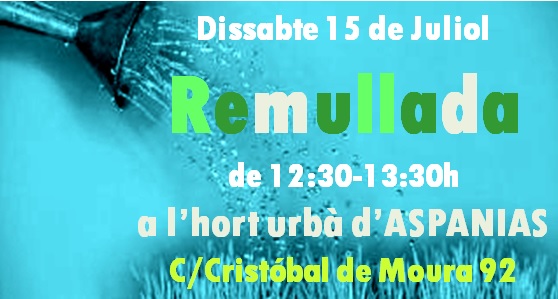 Més informació sobre l'article Remullada’17