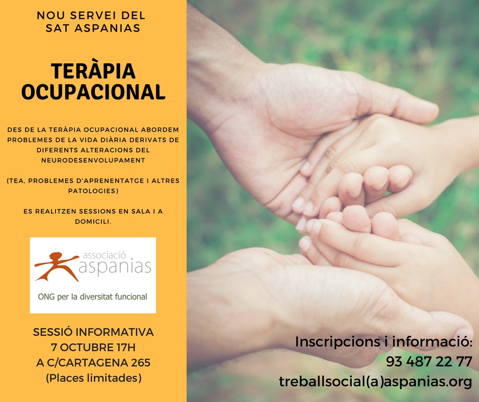 Més informació sobre l'article Teràpia Ocupacional al SAT