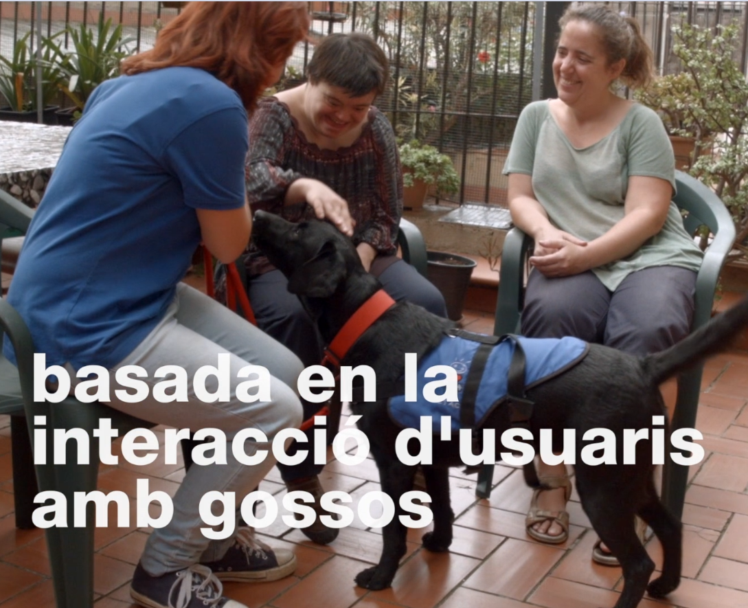 Més informació sobre l'article Els efectes positius de la Teràpia Assistida amb Gossos